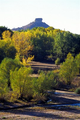 The Meadows Master Planned Community in Castle Rock CO