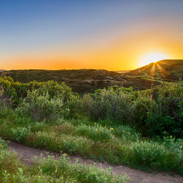 The Meadows at Castle Rock - Trails and Open Space